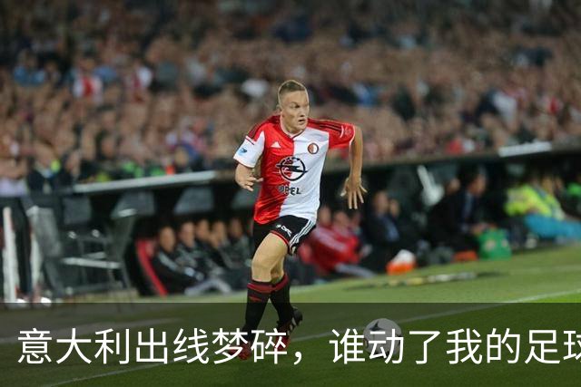 意大利出线梦碎，谁动了我的足球情怀？