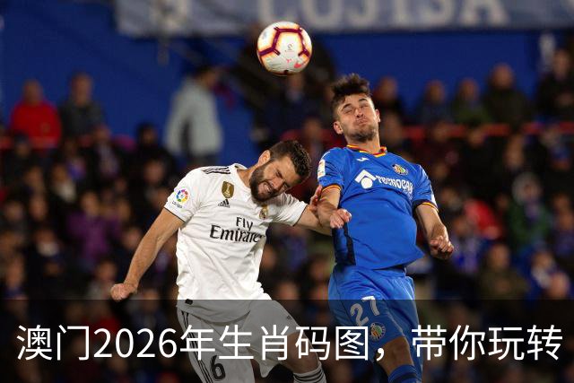 澳门2026年生肖码图，带你玩转“好运”之岛！