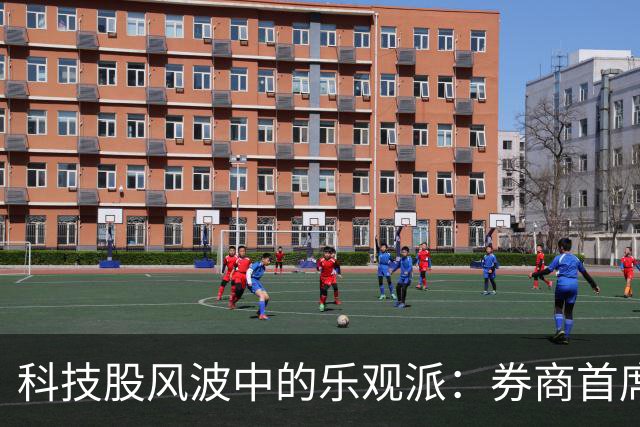 科技股风波中的乐观派：券商首席的逆风歌唱
