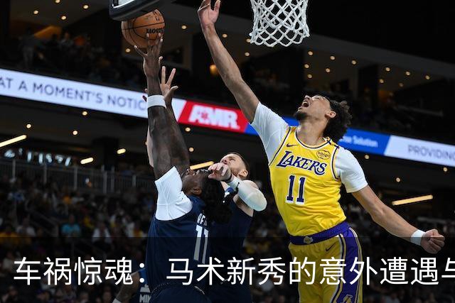 车祸惊魂：马术新秀的意外遭遇与悲伤结局