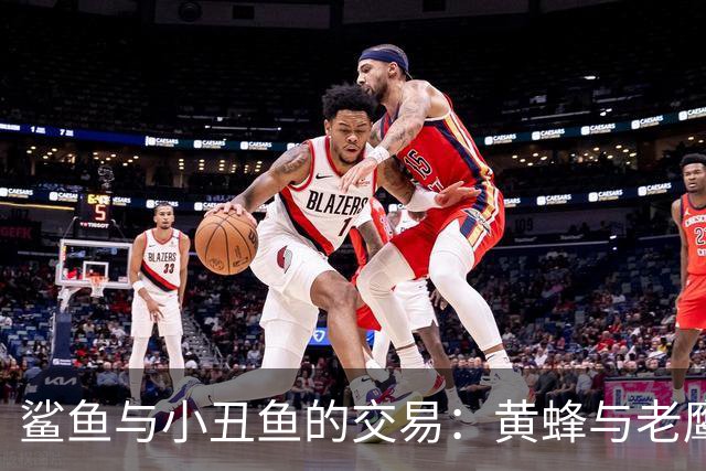 鲨鱼与小丑鱼的交易：黄蜂与老鹰的角逐